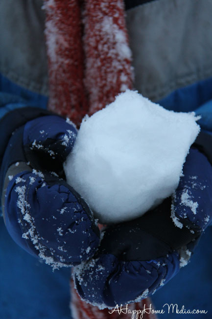 snow and Bible covers